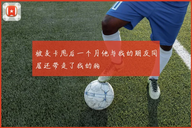 被麦卡甩后一个月他与我的朋友同居还带走了我的狗