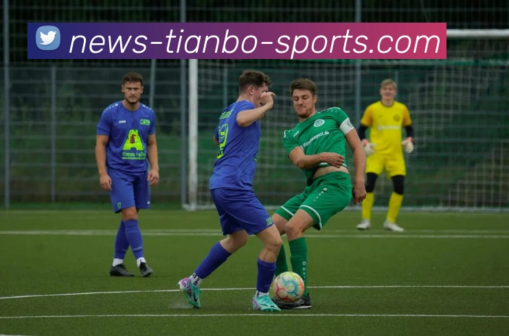 天博体育APP 高清赛事图